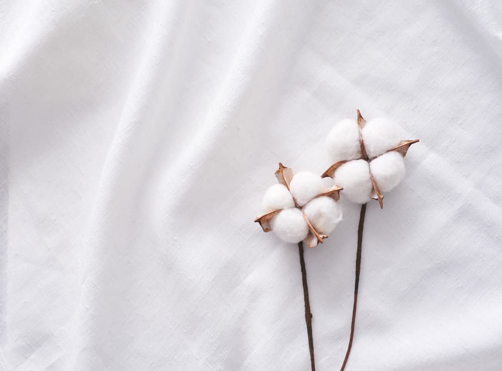 Exploring The World Of Cotton Fabric Facts Trivia And Insights New
